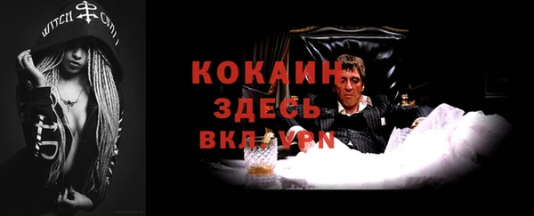 твердый Алексеевка