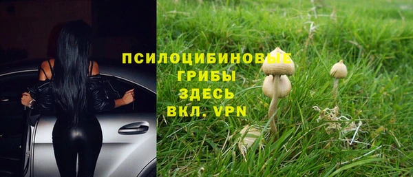 apvp Алзамай