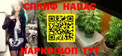 гашик Гусь-Хрустальный