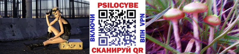 купить   Отрадный  Псилоцибиновые грибы MAGIC MUSHROOMS 