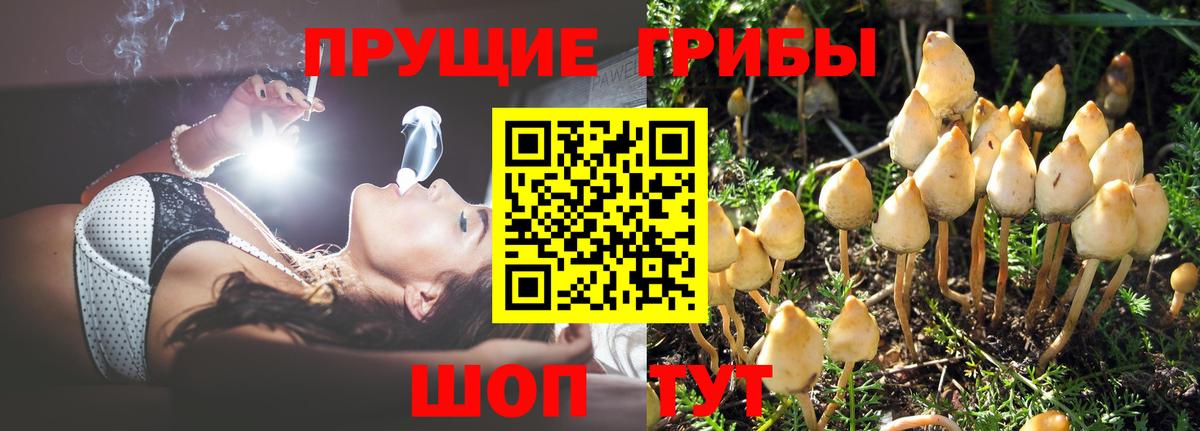 Галлюциногенные грибы ЛСД Отрадный